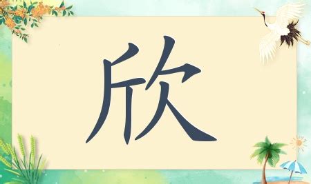 欣名字|帶欣字的名字 